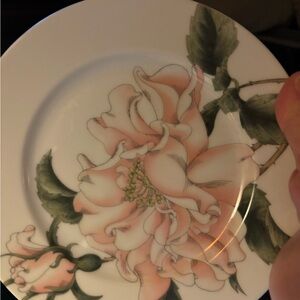 Set of 4 Summer Rose Porcelain Plates
Fits and Floyd